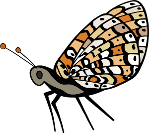 Schmetterling Hospizhilfe